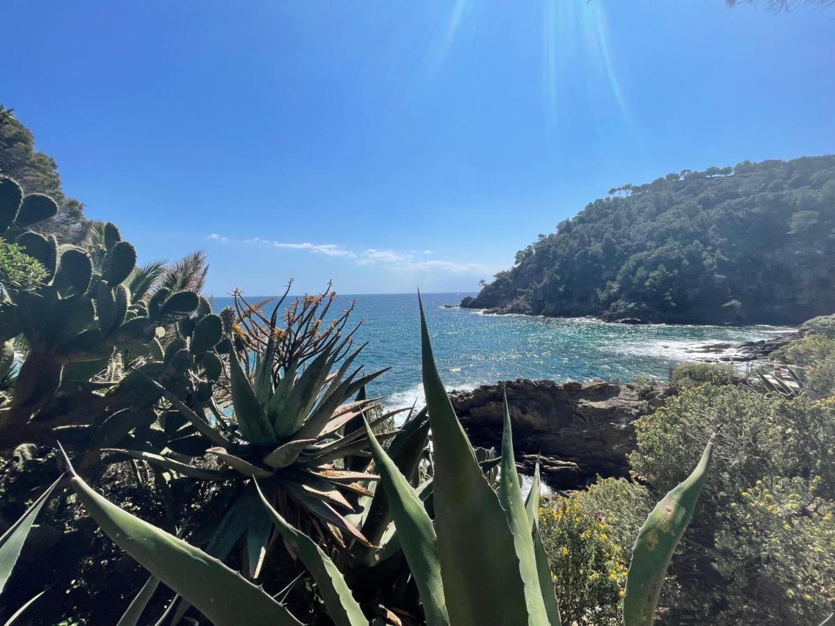La Villa Cavalaire Extérieur photo