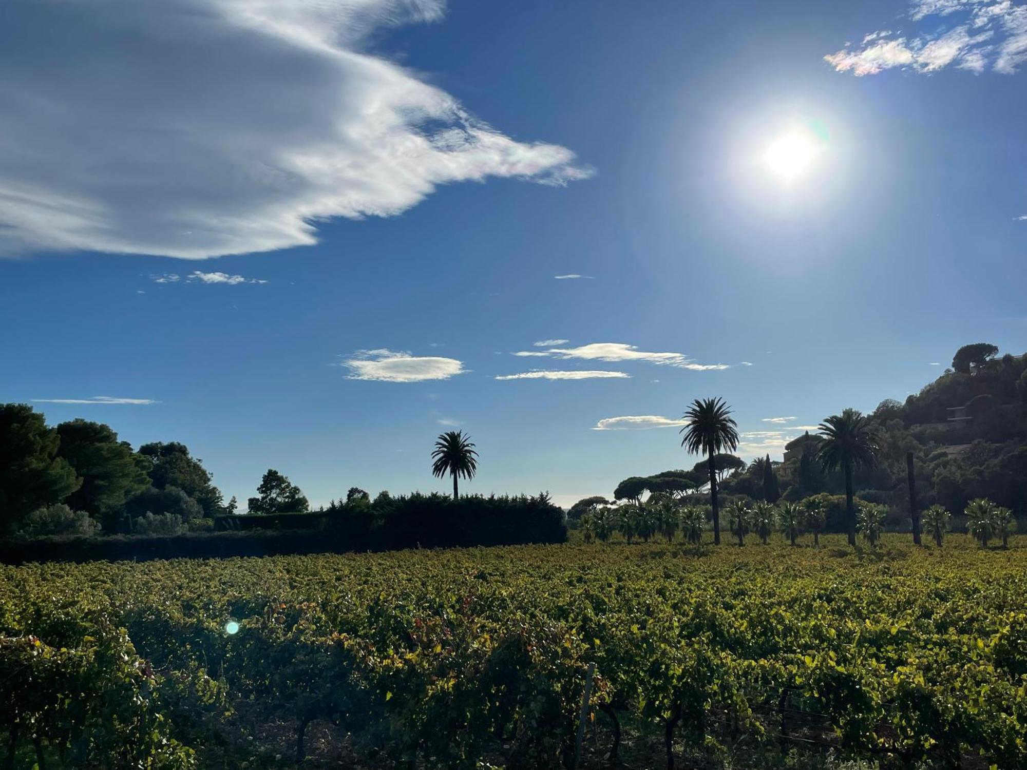 La Villa Cavalaire Extérieur photo